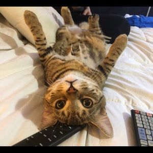 Meet your Posher, Ivan